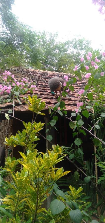 Walkers Hostel Trincomalee Exterior foto