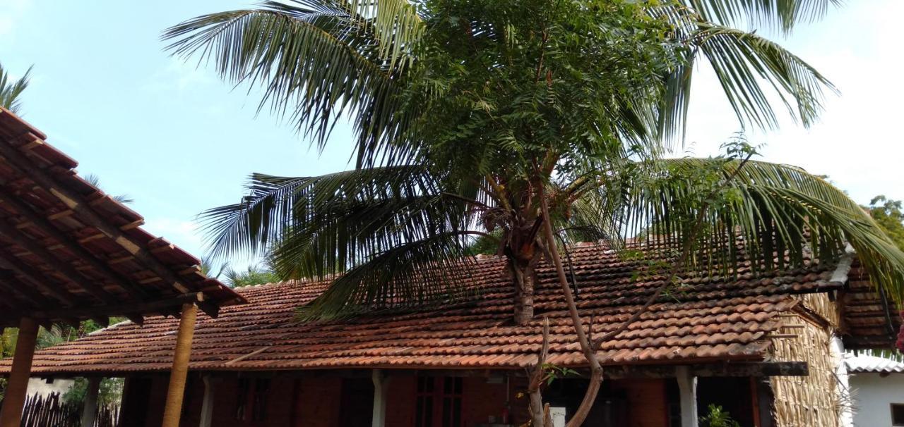 Walkers Hostel Trincomalee Exterior foto